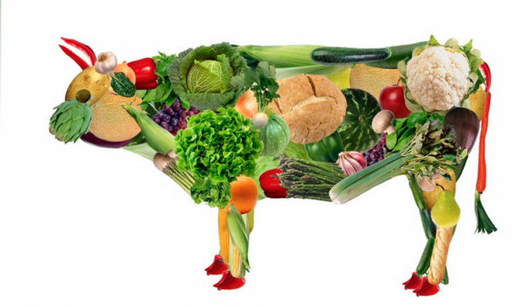 notícias dia do veganismo legumes