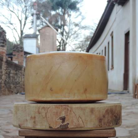 queijo de leite de cabra caprinus queijaria fazenda atalaia