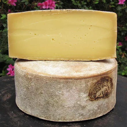 queijaria fazenda santa luzia queijo tipo parmesão fernão cortado