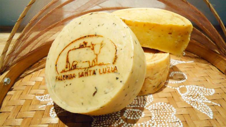 queijaria fazenda santa luzia queijo com cerveja braukäse inteiro