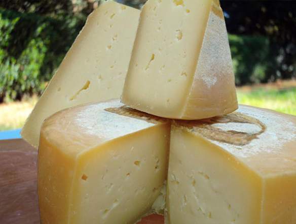 queijaria fazenda santa luzia queijo com cerveja braukäse pedaço