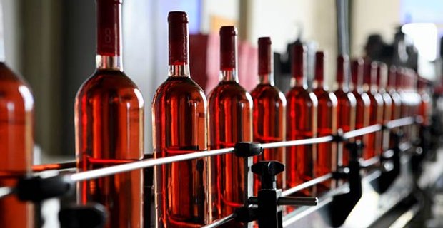 notícias dia do enólogo produção vinho